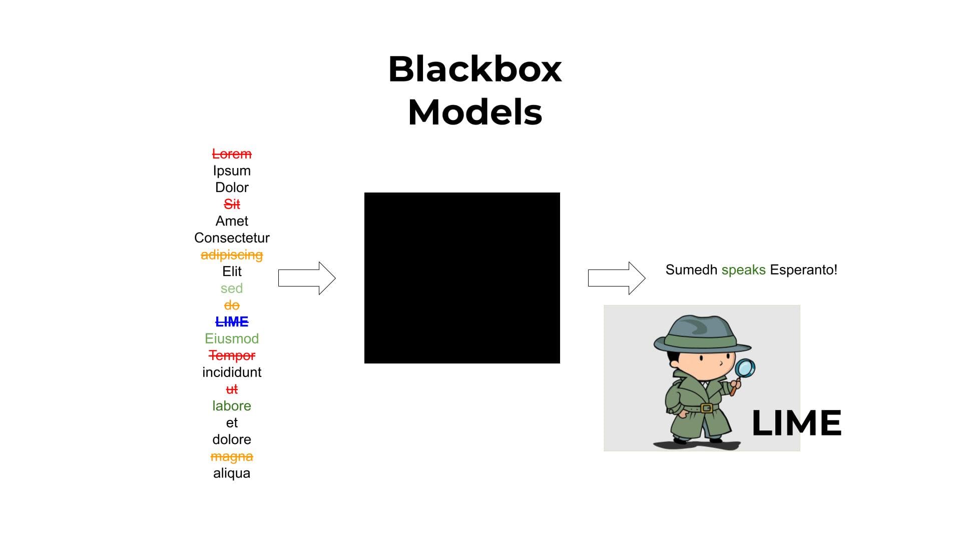 A diagram titled 'Blackbox Models' showing a large black square in the center labeled as a 'black box.' On the left, there is colorful text reading 'Lorem Ipsum Dolor Sit Amet Consectetur adipiscing Elit sed do LIME Eiusmod Tempor incididunt ut labore et dolore magna aliqua,' with an arrow pointing to the black box. Certain words, like 'Lorem,' 'adipiscing,' 'LIME,' and 'labore,' are highlighted in red, orange, blue, or green. On the right, an arrow exits the black box toward a cartoon detective character with a magnifying glass labeled 'LIME,' next to the text 'Sumedh speaks Esperanto!'