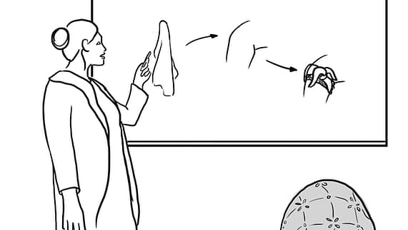 A line drawing of a teacher or healthcare professional pointing to a whiteboard that depicts steps or a process, possibly for education or health awareness, with a person seated in the foreground.
