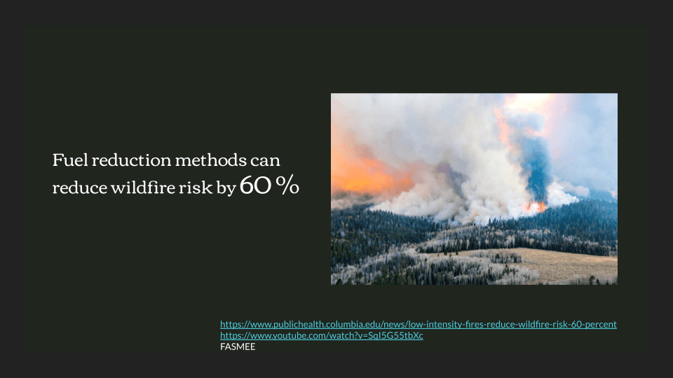 Fuel reduction methods can prevent 60% of the damage.
